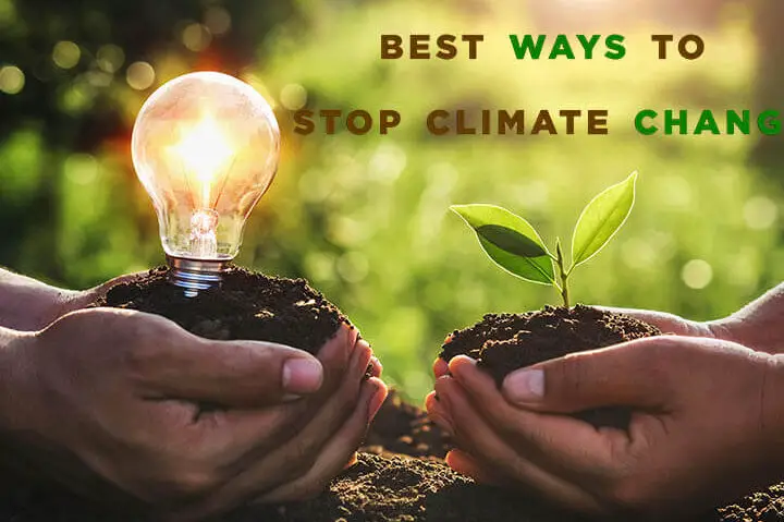 Mejores formas de detener el cambio climático |